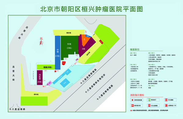 插逼网站现看北京市朝阳区桓兴肿瘤医院平面图